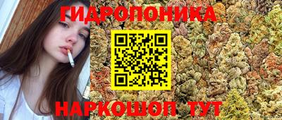 гидропоника Балаково