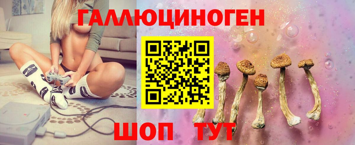Губаха  Псилоцибиновые грибы Psilocybe  Вход с VPN 